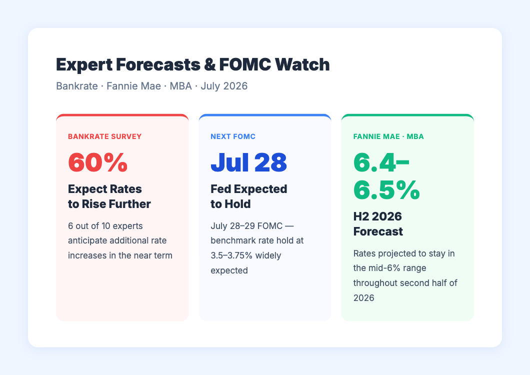 Expert Forecast