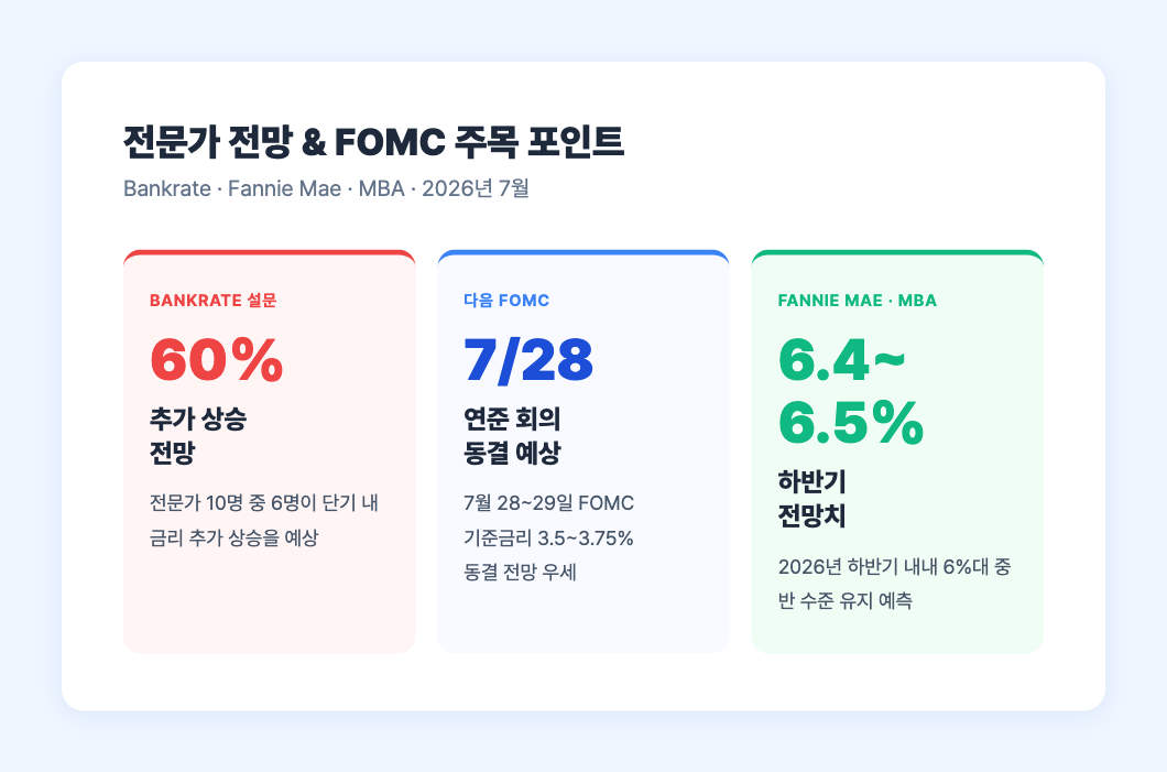 전문가 전망